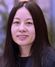 Profile photo of Molin Wang