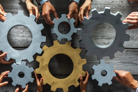 Hands on cogs